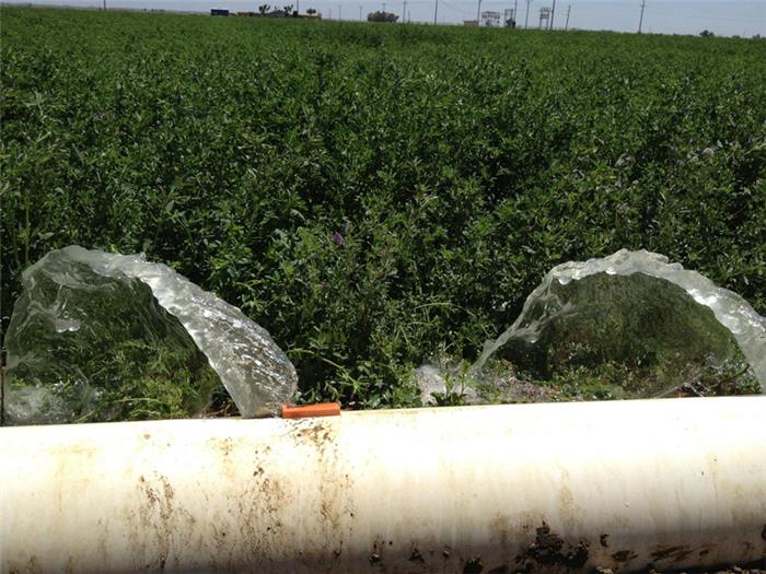 آبیاری غرقابی